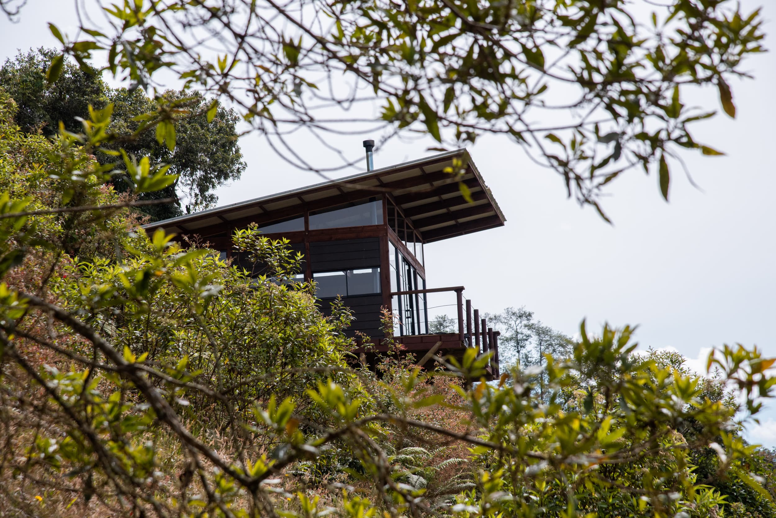 The Cabin at Owl's Watch through tree branches