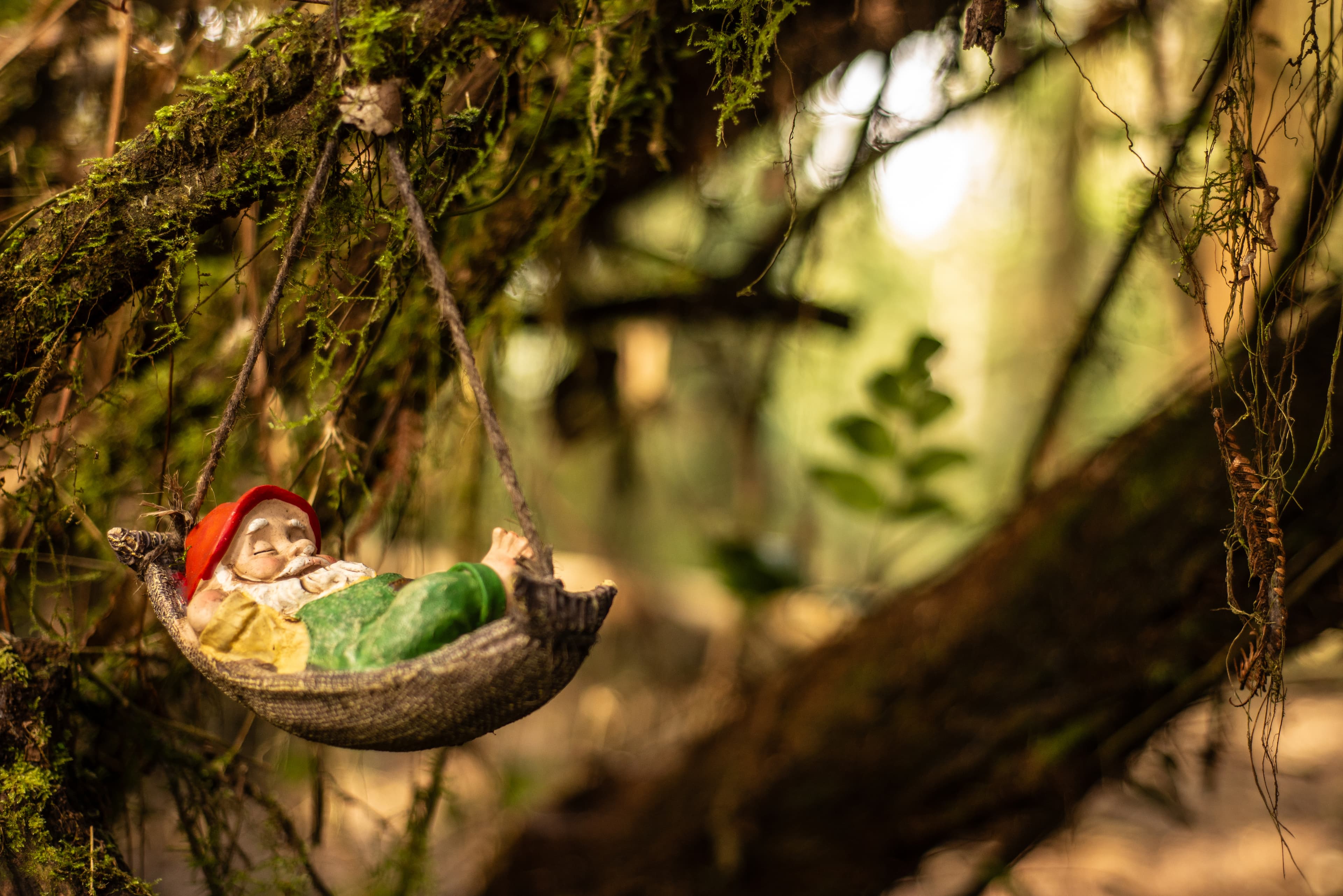 Sleeping gnome in hammock amid moss-draped branches