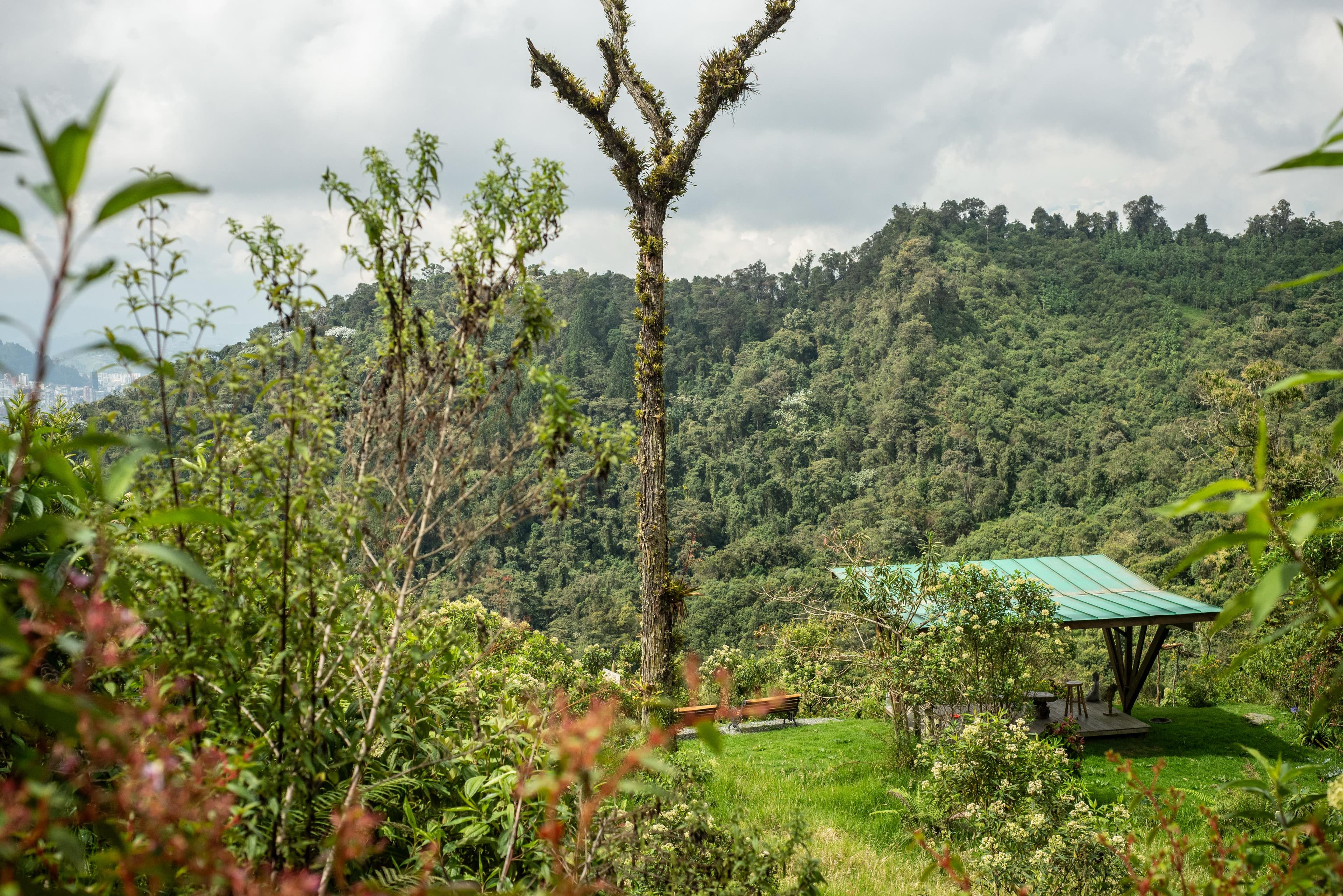 Natural pond with valley and flowering plants at Owl's Watch