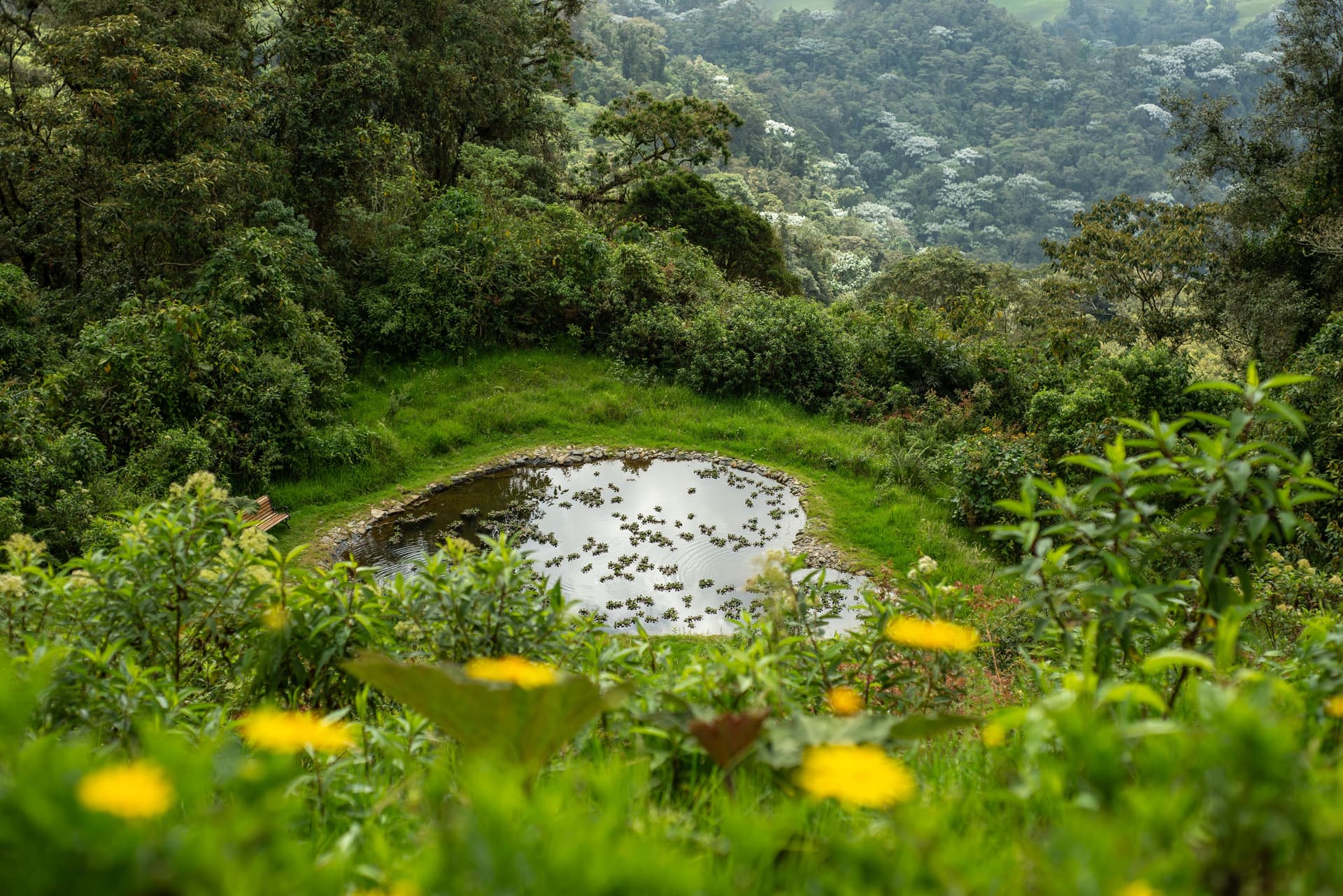 Covered platform with gardens and mountain backdrop at Owl's Watch